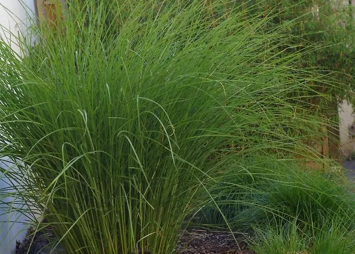 Fuer Liebhaber Des Besonderen 別荘 トリーア